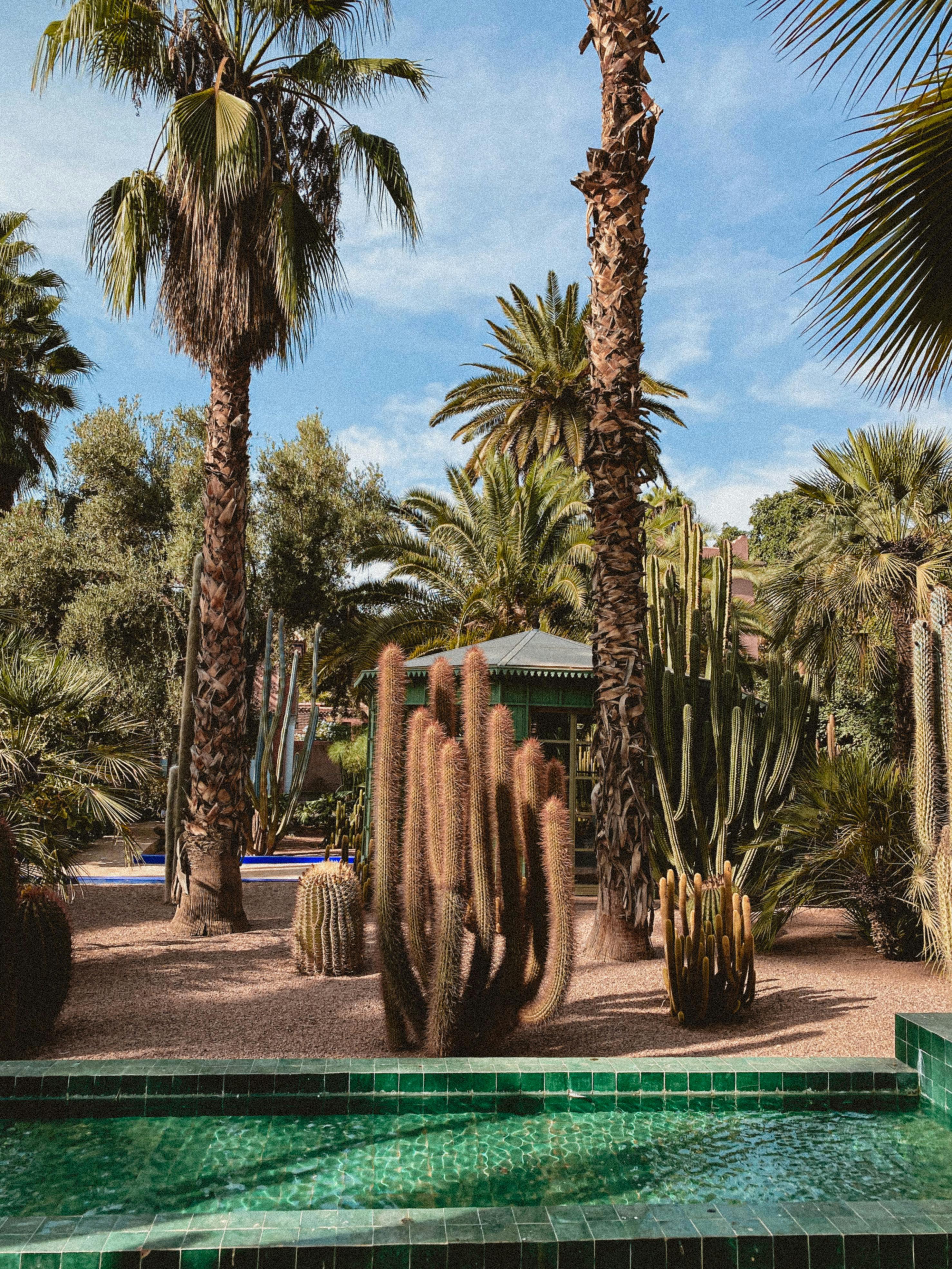 Excursion en calèche et visite du jardin Majorelle